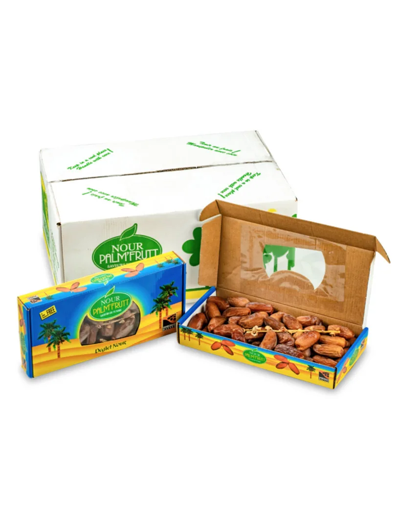 Kurma Palm Frutt Nour Deglet Nour (Branch) dari Tunisia