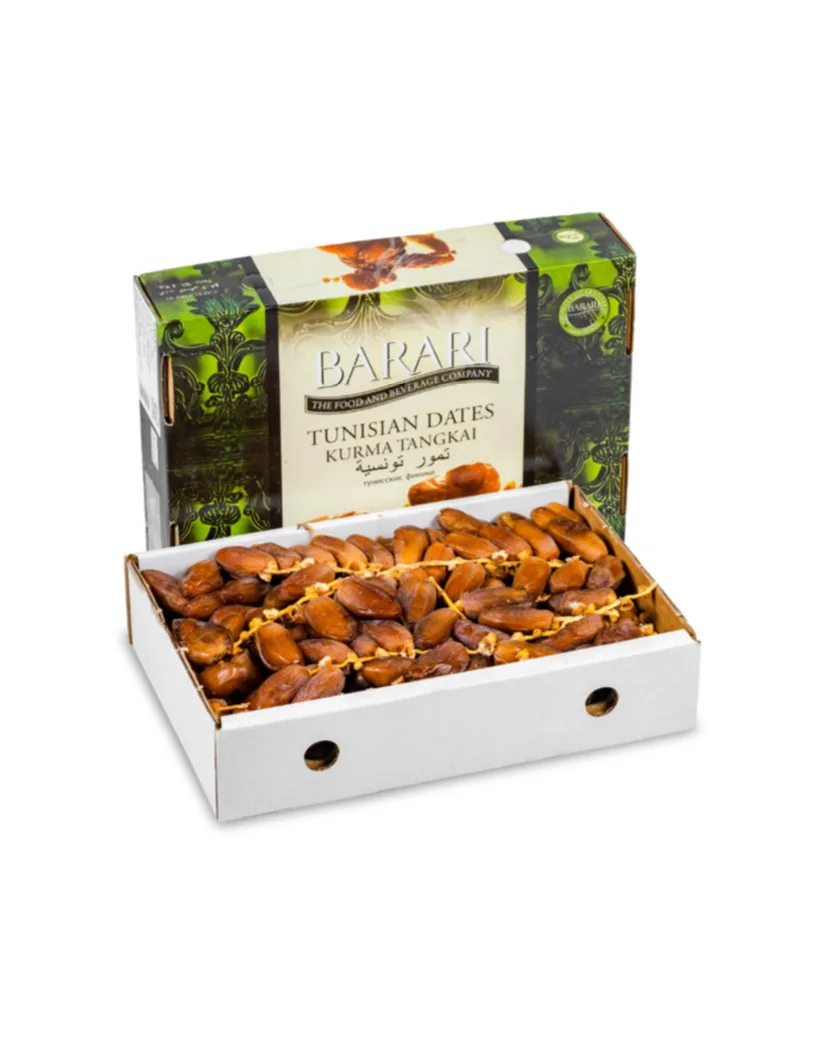 Kurma Barari Deglet Nour (Branch) dari Tunisia